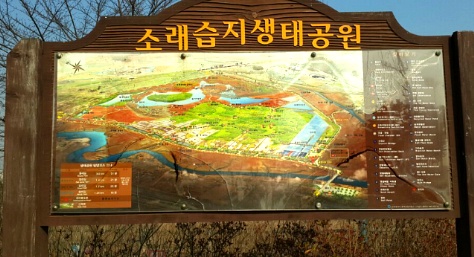 인천 갈만한곳 소래습지생태공원