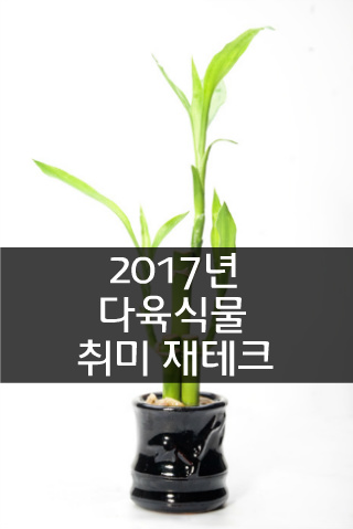 2017년 다육식물 취미 재테크에 대해 알아보자.