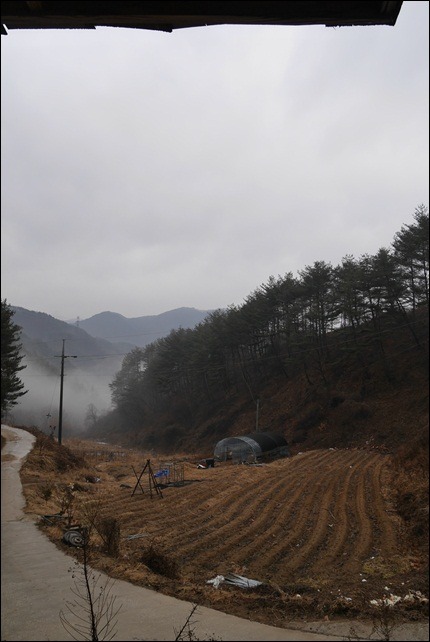 문경점집/ 도연산당 아침 비...