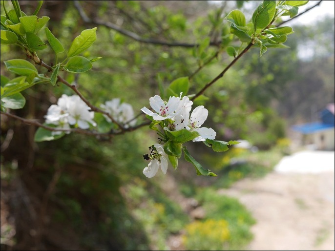 조용한 암자 기도도량 도연산당 운세상담 1박 2일 여행