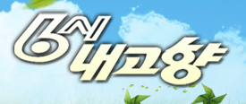 6시내고향 강원 홍천 블루베리묘목판매, 블루베리 판매 6월 22일 방송