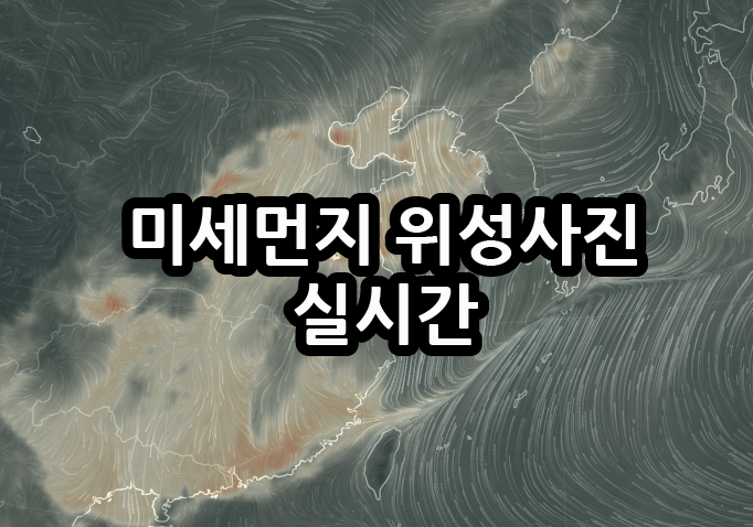 미세먼지 위성사진 - 실시간