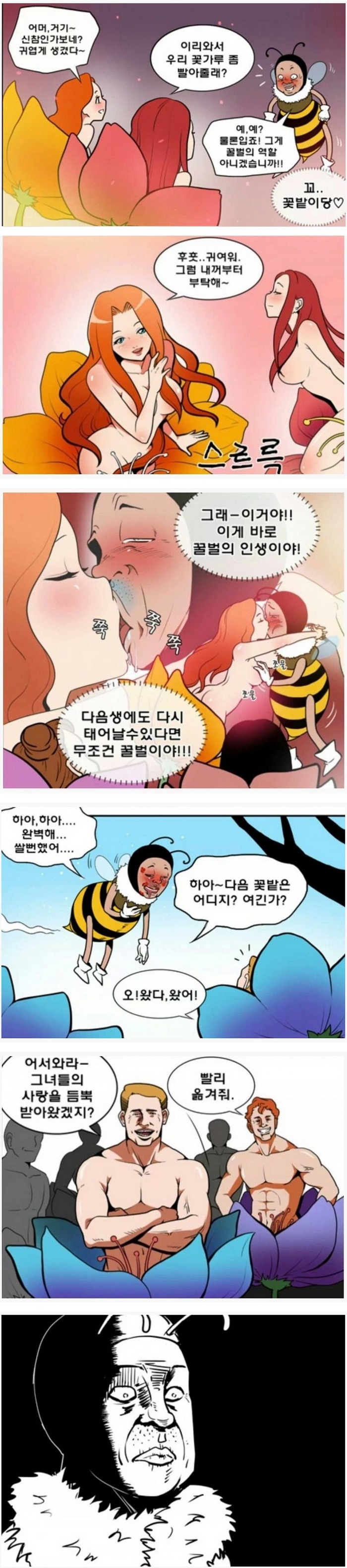 꿀벌의 비애