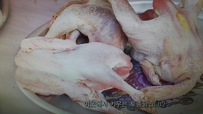 한국인의 밥상 시루찜닭 소개된곳입니다