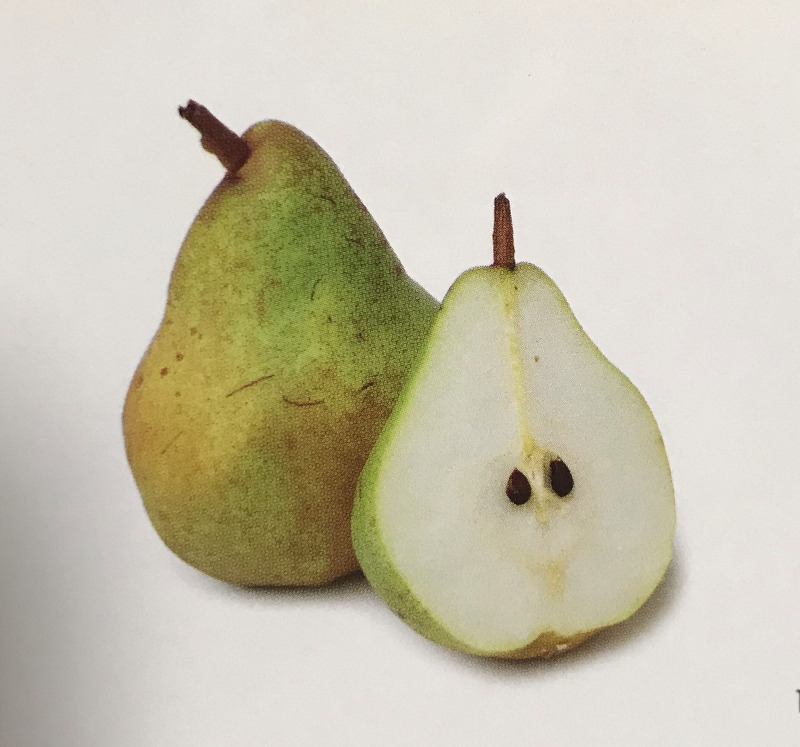 [코미스배]Comice Pear [배]Nashi Pear