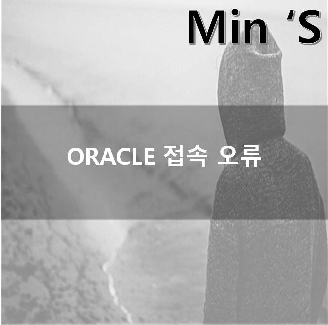 Oracle 접속 오류 The Network could not establish the connection