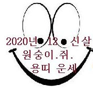 2020년 원숭이띠 쥐띠 용띠의 운 봅시다