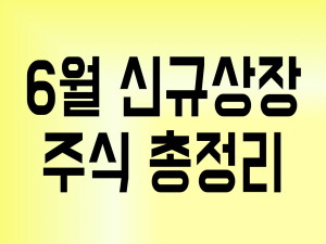 2019년 6월 신규 상장주 총정리(Feat. 마이크로디지탈 외 5종목)