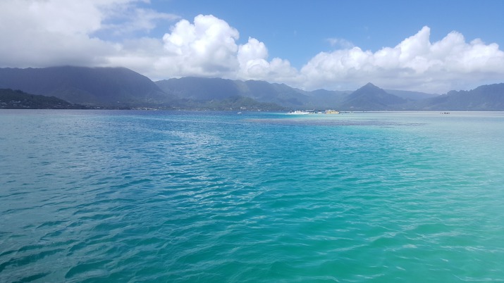 하와이 신혼여행-4일차 / 천국의 바다 카네오헤 베이 씨워커 액티비티-치즈버거 와이키키