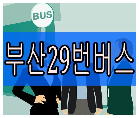 부산29번버스 최신 시간표 실시간 노선