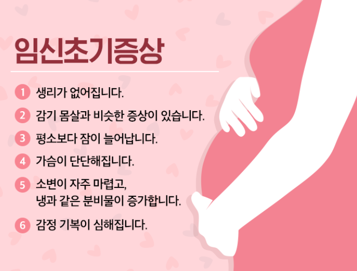 임신 초기증상 5가지