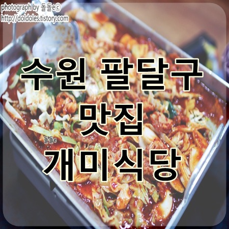 수원 팔달구 맛집 : 30년전통 닭갈비맛집 남문 개미식당