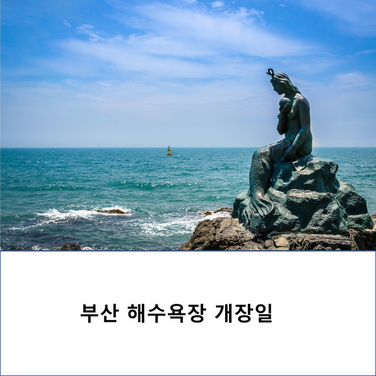 젊음의 바다 부산 해수욕장 개장일 안내