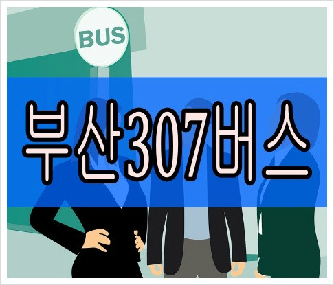 부산307번버스 최신 시간표 실시간 노선