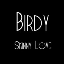 [가사해석]Birdy(버디) - Skinny 확인해볼까요
