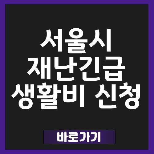 서울시 재난긴급생활비 신청방법 후기