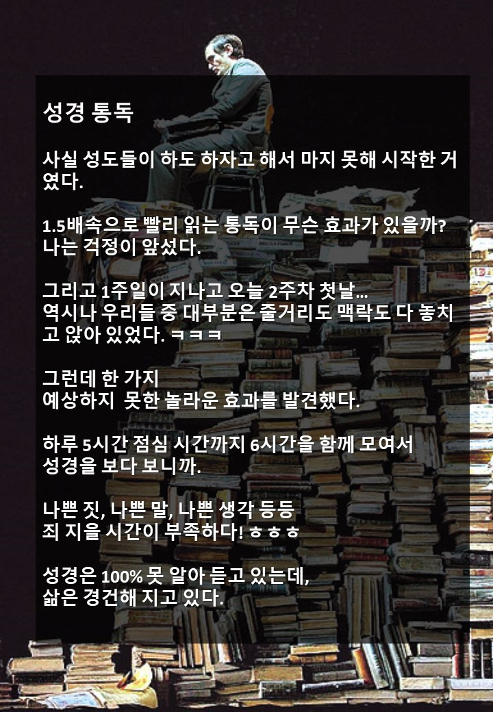 성경 통독