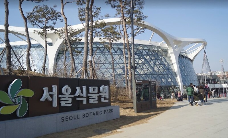 마곡 서울식물원 무료로 즐기고 왔어요.