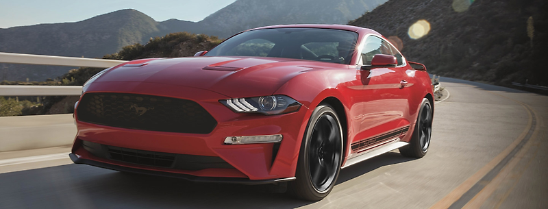 [FORD] 2019 MUSTANG 머스탱