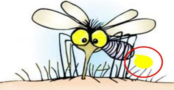 인간과 해충 간의 살충제 진화적 군비경쟁 - 곤충은 어떻게 살충제의 공격을 이겨내는가 정보