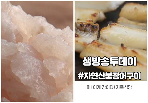 생방송투데이 자족식당 자연산붕장어구이 파는곳 위치