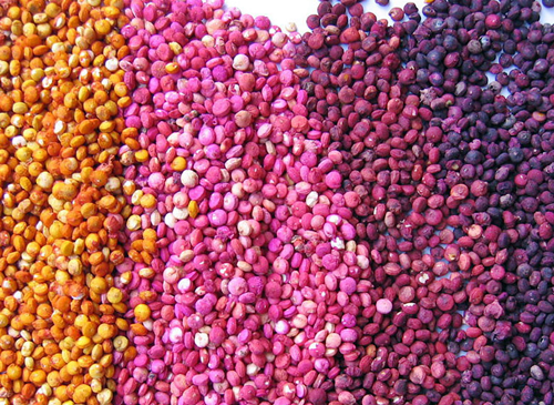 퀴노아효능, 퀴노아(quinoa) 먹는 법