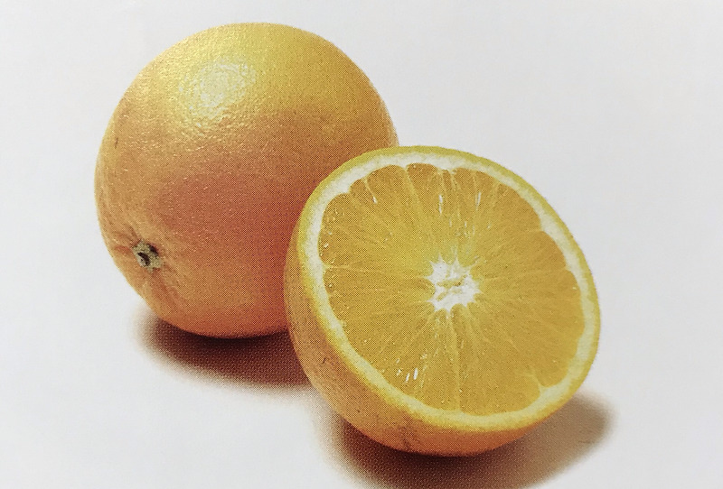 [자파오렌지]Jaffa Orange [블러드 오렌지]Blood Orange