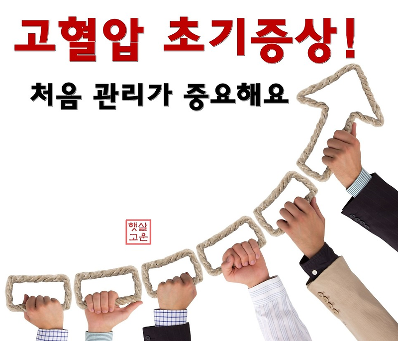 고혈압 초기증상! 첫 관리가 중요한다.