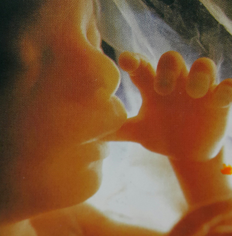 태아의 골격이 확실해지는 임신 6개월 산모와 태아의 변화