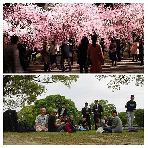 후쿠오카 4월 날씨, 벚꽃시기,옷차림, 태풍 및 월 기후 정보