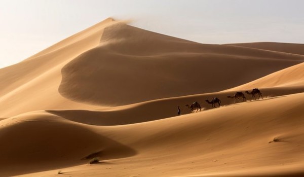 사하라 사막, 태양광 발전 실현되면 유럽 전력 7000배 수급 예상