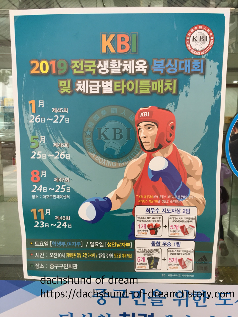 2019년 3월 16일 토요일에 열린 KBI 전국생활체육 복싱대회 및 체급별 타이틀매치