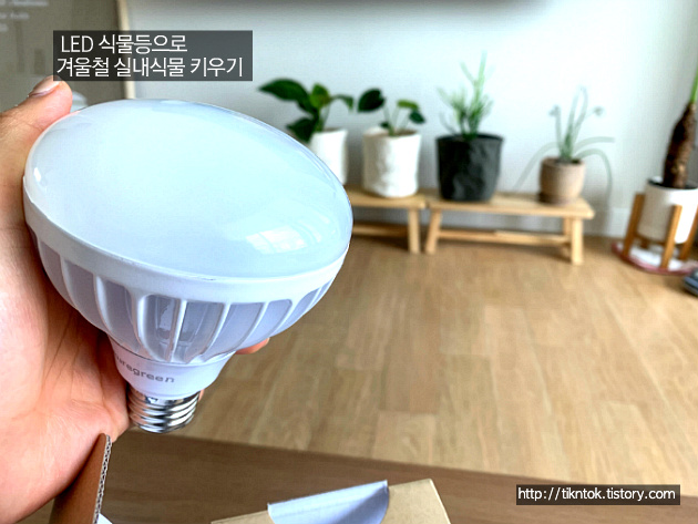 LED 식물등으로 겨울철 실내에서 식물 키우기!
