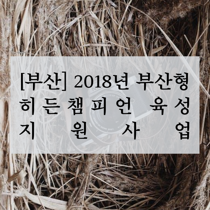 [부산] 2018년 부산형 히든챔피언 육성 지원사업