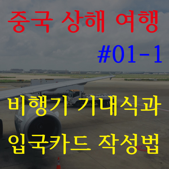 [중국 상해여행 #01-1]비행기 기내식과 중국 입국카드 작성법! (중국동방항공)