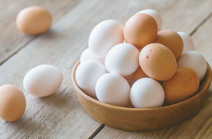 계란 효능 5가지