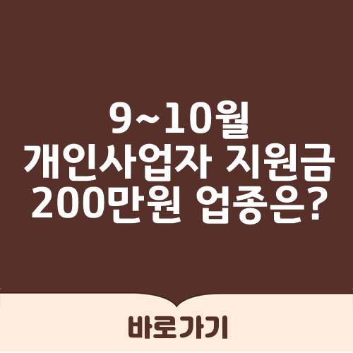 개인사업자 지원금 / PC방 노래방 200만원
