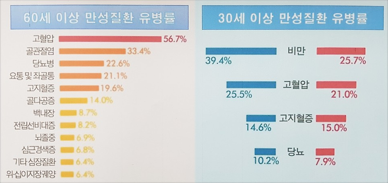 부모님보험 고혈압 고지혈증 ~처럼