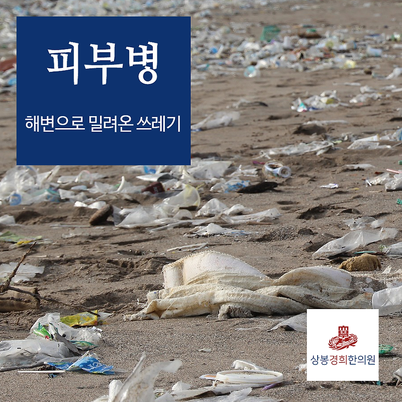 피부병 (해변으로 밀려온 쓰레기) - 상봉동한의원
