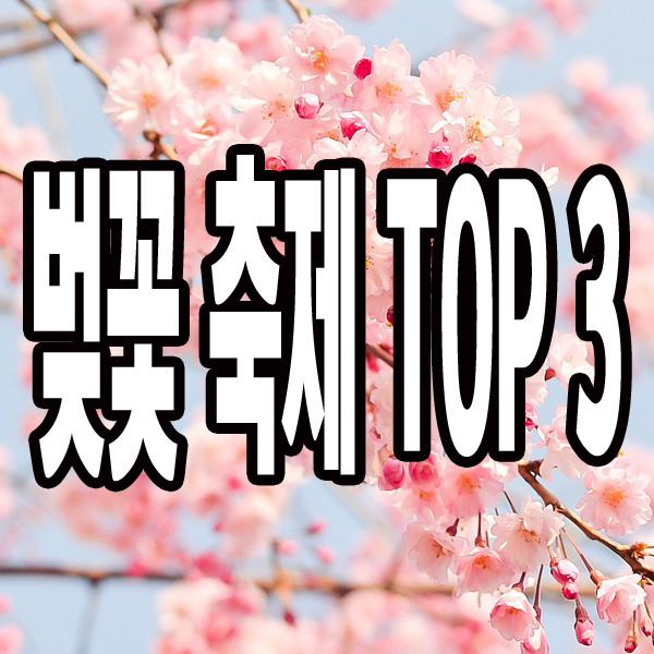 벚꽃축제 TOP3 # 강력 추천하는 벚꽃축제 명소는?