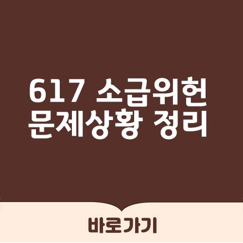 617 소급 위헌
