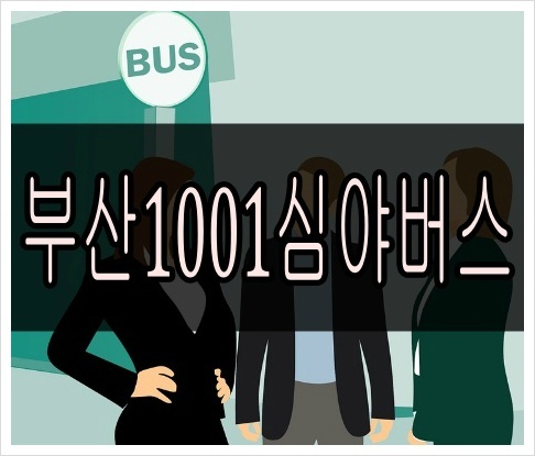 부산1001번버스 최신 시간표 실시간 노선(심야)