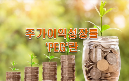 주식거래하는방법 주가이익성장율 PEG는 알고 투자하자!!