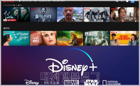 넷플릭스·아마존 주춤, 디즈니 OTT 서비스 출시로 틈새 파고들기? !!