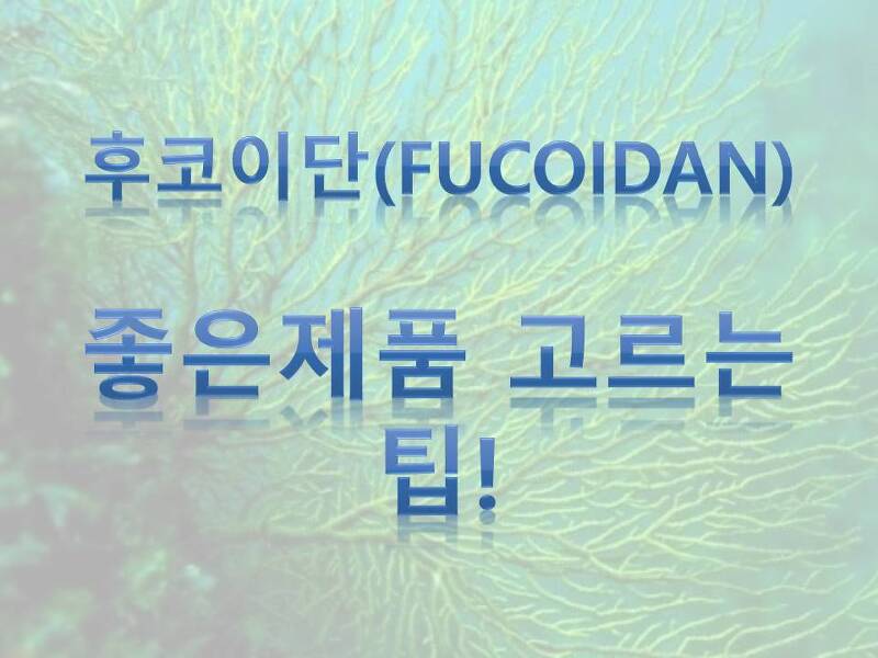 후코이단(Fucoidan), 줗은제품 선택 팁!