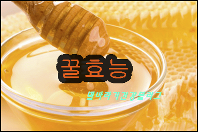 꿀효능