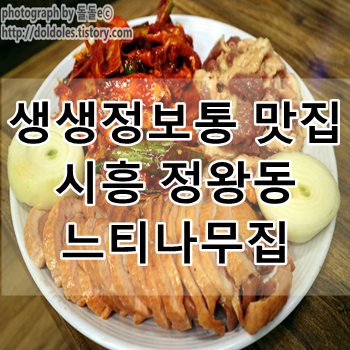 시흥 생생정보통 맛집 : 느티나무집 메뉴 시흥 몸보신하기 좋은곳