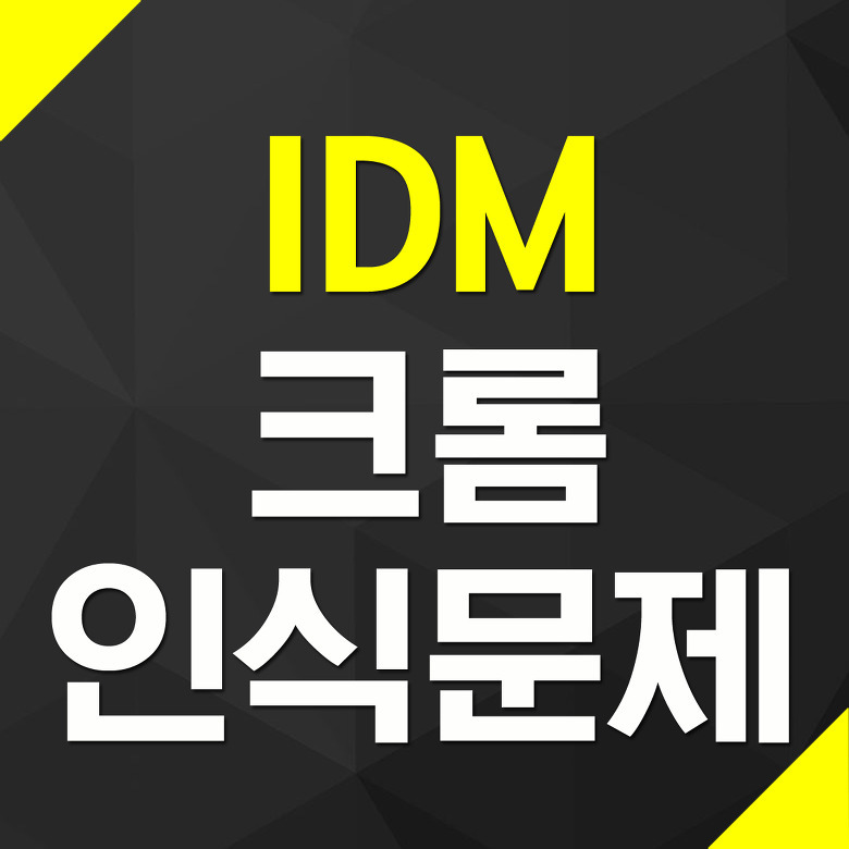 IDM 크롬 인식문제 확장프로그램 추가