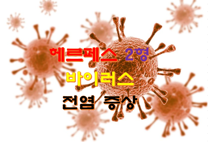 헤르페스 2형 바이러스 전염 증상