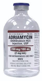 아드리아마이신(Adriamycin)의 효능과 부작용 복용시 주의할 점